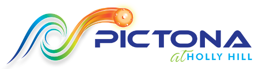 Pictona Logo