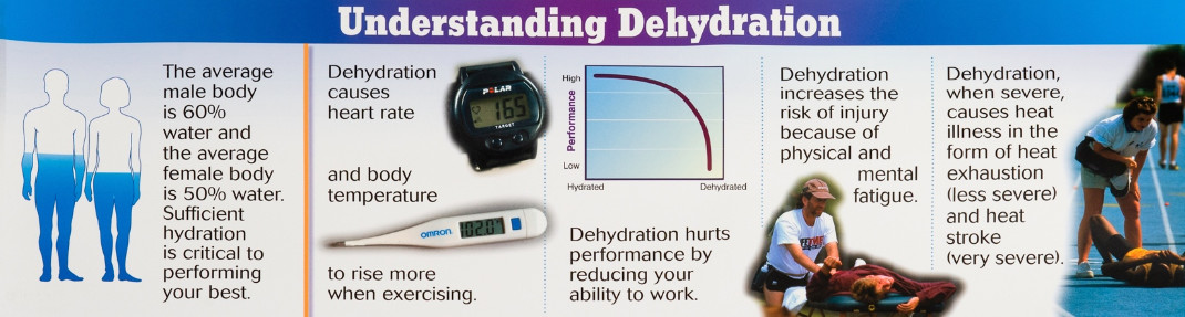 Understanding Dehydration