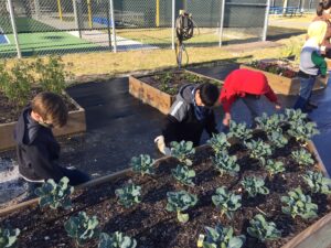 Children Garden 2