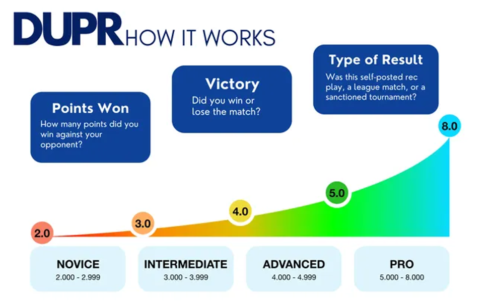 DUPR How it Works Infographic