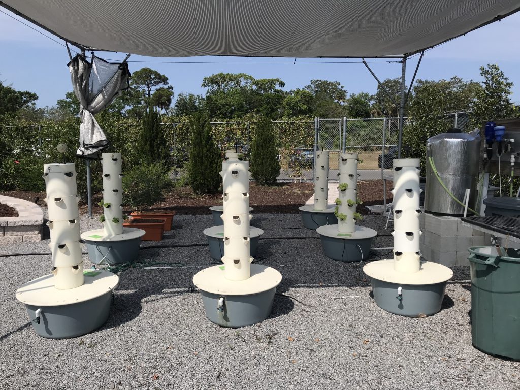 % to 6 Hydroponic Gradens underneath a tarp with lettuce greens growing out the the sides.