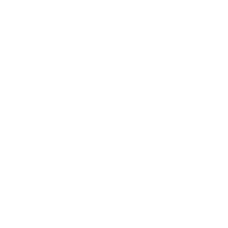 Pickleball Paddles